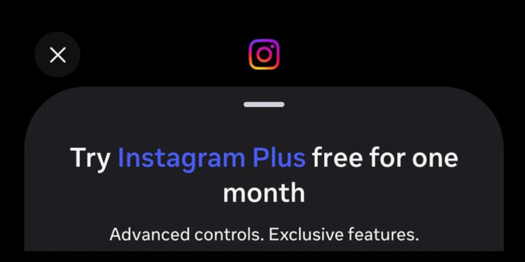 Instagram Plus chega ao Brasil por R$ 10 por mês e marca nova aposta da Meta em assinaturas